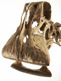 A cast of a Nigersaurus dinosaur