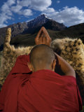 A monk prays for an end to snow leopard killings