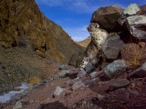 A snow leopard signals its presence by rubbing its scent on a rock