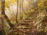 A path on Natagiri Pass