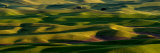 The Palouse Hills of southeastern Washington State