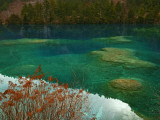 Heavy Carbon Content Colors the Water of Sleeping Dragon Lake
