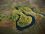 Salmon spawn in Kronotsky Nature Reserve's clear running rivers