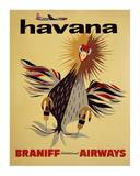 Braniff International Airways  Havana