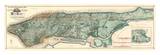 Sanitary and Topographical Map of the City and Island of New York  c1865