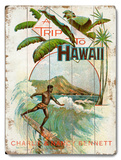 A Trip to Hawaii