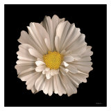 Cosmos no 7