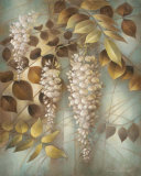 Wisteria Lane I