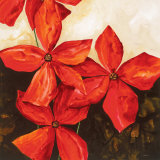 Red Passion I