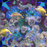Blues and Yellows