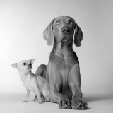 Max and Roxie