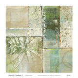 Organic Harmony I