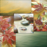 River Rocks I