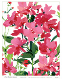 Pink Border Beauty
