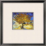 Mulberry Tree  c1889