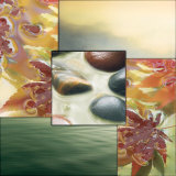 River Rocks II