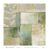Organic Harmony II