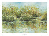 Hamden Pond