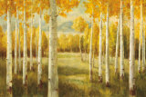 Aspens