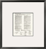 Constitution