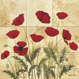 Patterned Poppies