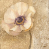 Brocade Poppy