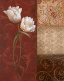 Tulip Grace