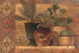 Desert Still Life