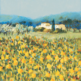 Lemon Grove  Tuscany
