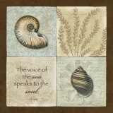 The Voice of the Sea