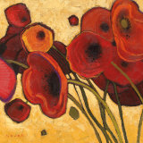 Poppies Wildly I