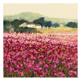 Le Jardin Rouge  Provence