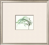 Wind