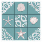 Seashell Collage I