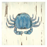 Blue Crab