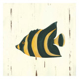 Tropical Fish: Angel Fish