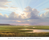 Low Country Splendor