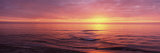 Sunset over the Sea  Venice Beach  Sarasota  Florida  USA