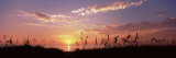 Sunset over the Sea  Venice Beach  Sarasota  Florida  USA