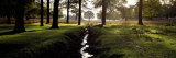 Stream Passing Through a Park  Richmond Park  London  England