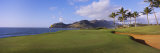 Palm Trees at Seaside  Kiele Course  Number 13  Kauai Lagoons Golf Club  Lihue  Hawaii  USA