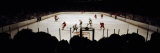 Group of People Playing Ice Hockey  Chicago  Illinois  USA