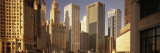 Cityscape Chicago Il  USA