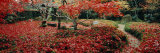 Trees in a Park  Enri-An Temple  Sagano  Kyoto Prefecture  Japan