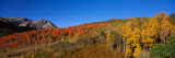 Mountains on a Landscape  Mt Timpanogos  Wasatch Mountains  Utah  USA