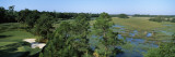Wetlands in a Golf Course  Cougar Point  Kiawah Island Golf Resort  Kiawah Island