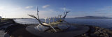Viking Ship Sculpture at the Coast  Reykjavik  Iceland