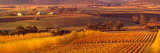 Australia  Tasmania  Richmond  Vineyard