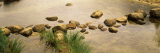 High Angle View of Stepping Stones in Water  Yosemite National Park  California  USA