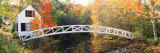 Arched White Footbridge  ME